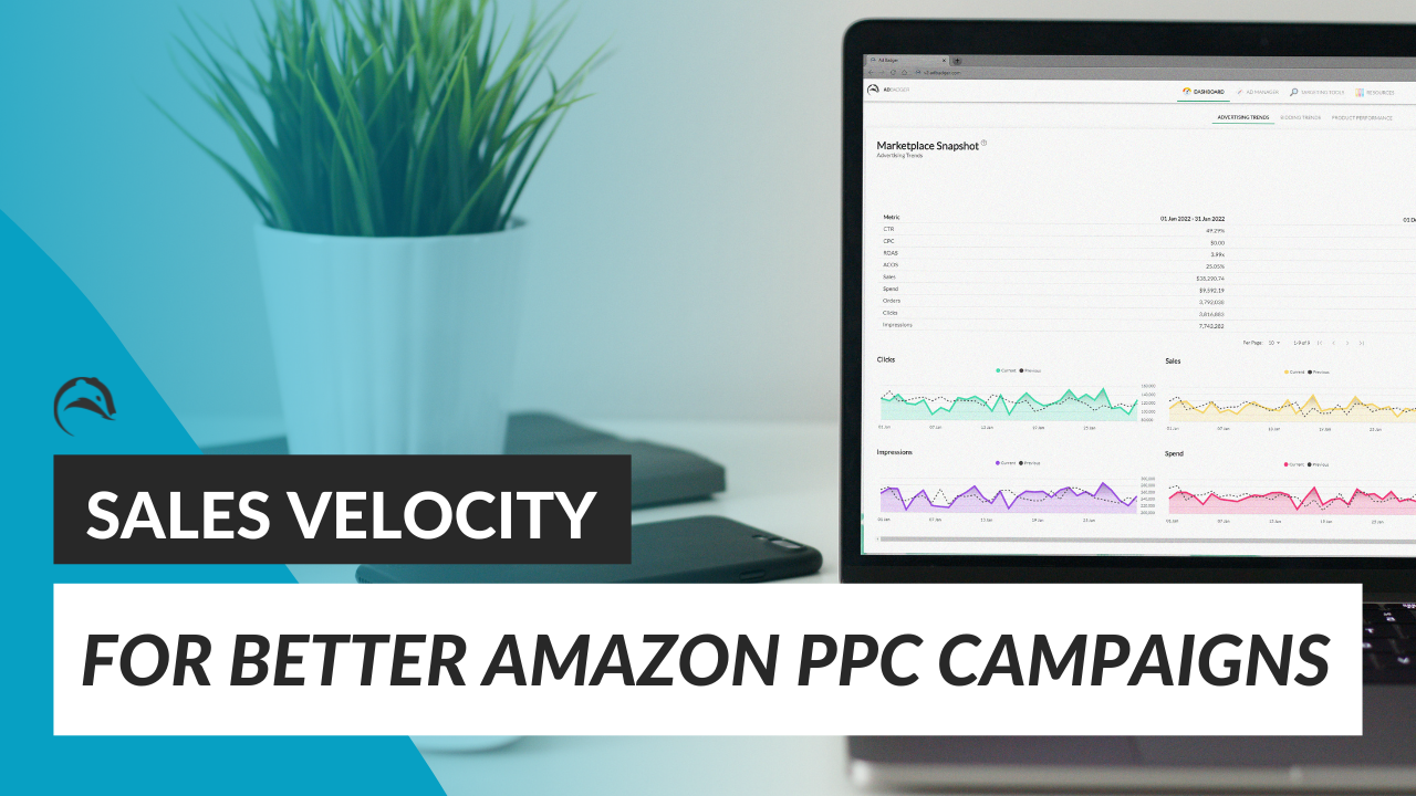 How Monitoring Sales Velocity Creates Better Amazon PPC Campaigns