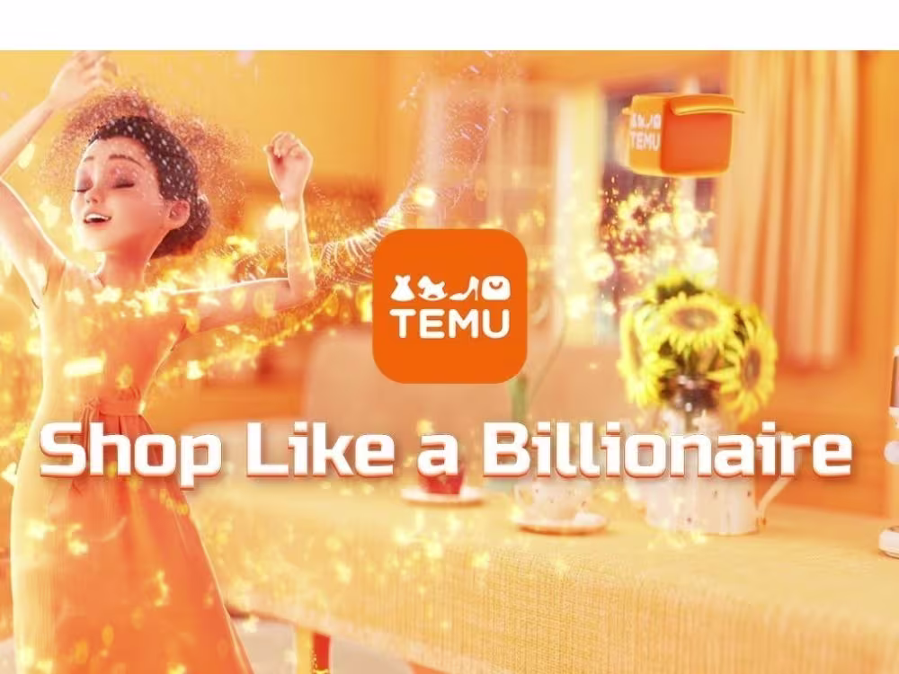 Amazon Haul vs. Temu Low-Cost Showdown 4 Temu discount shopping platform