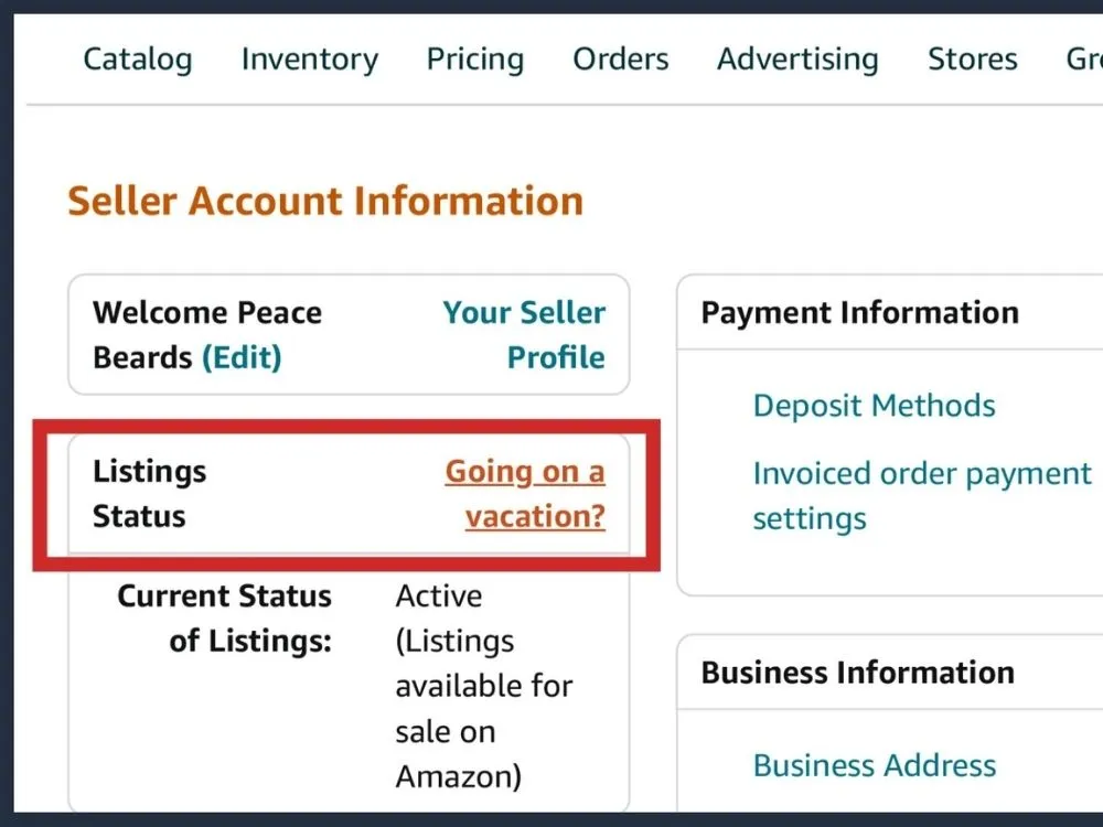 Amazon's July 2025 Updates: What Sellers, Advertisers & Brands Need to Know 3 Vacation mode for seller‑fulfilled orders